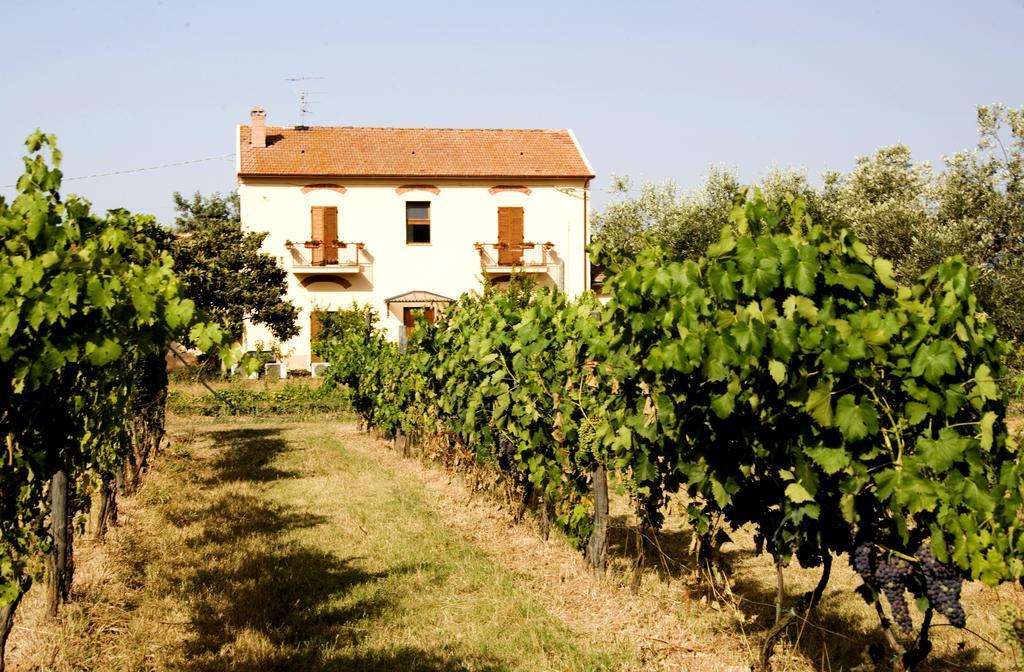 La Pulledraia Del Podere Montegrappa Alberese Buitenkant foto